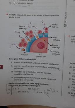 E) LH'ın miktarının artması
10. Aşağıda insanda bir spermin yumurtayı dölleme aşamaları
gösterilmiştir.
SD YAYINLARI
?
Sperm
çekirdeği
Folikül
hücresi
Zona
pellusida
12. Mer
östr
aşag
Sperm
çekirdeği
Yumurta
çekirdeği
Akrozom
Yumurta zari
Buna
6
A) 28
için
B) Do
Buna göre döllenme sürecinde;
1 spermin akrozomundaki sindirim enzimlerinin salgılanması,
II. spermin reseptörlerinin zona pellusidanın reseptörlerine
bağlanması,
III. spermdeki zar proteinlerinin yumurta zarındaki
reseptörlere bağlanması,
IV. sperm çekirdeğinin yumurta içine girerek yumurtanın
çekirdeği ile kaynaşması
olaylarının gerçekleşme sırası aşağıdakilerden
hangisinde doğru olarak verilmiştir?
B) II-III-IV
D) I - III - II - IV
E) I - II - MV III
pro
C) Dol
lute
aza
D) Ostr
A) VII - III - IV
C) II--IV-
döng
E) 28 g
korpo
