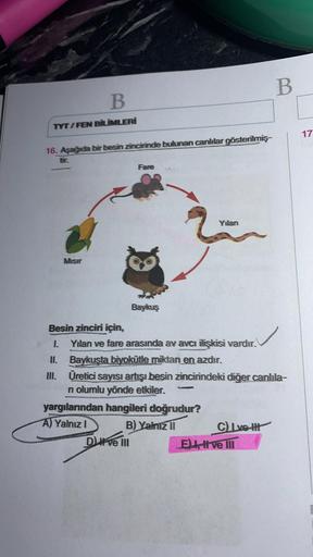 B.
B
TYT / FEN BİLİMLERİ
17
16. Aşağıda bir besin ziinciüründe bulunan canlılar gösterilmiş
tir
Fare
Yılan
Misur
Baykuş
Besin zinciri için,
I. Yılan ve fare arasında av avcı ilişkisi vardır.
II. Baykuşta biyokütle miktan en azdır.
Üretici sayısı artışı bes