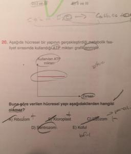 D) | ve il
erli ve it!
Coblace to
20. Aşağıda hücresel bir yapının gerçekleştirdiği metabolik faa-
liyet sırasında kullandığı ATP miktarı grafiklenmiştir.
Kullanılan ATP
miktar
ste
Zarman
Buna göre verilen hücresel yapı aşağıdakilerden hangisi
olamaz?
2 porch
A) Ribozom
+
Kloroplast
Czozom
D) Sentrozom
E) Koful
