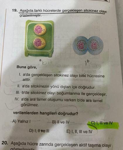 19. Aşağıda farklı hücrelerde gerçekleşen sitokinez olayı
gösterilmiştir.
a
bio
Buna göre,
I. a'da gerçekleşen sitokinez olayı bitki hücresine
aittir.
II. a'da sitokinezin yönü dıştan içe doğrudur.
III. b'de sitokinez olayı boğumlanma ile gerçekleşir.
IV.