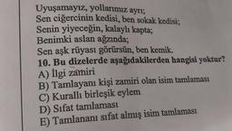 Uyuşamayız, yollarımız ayrı;
Sen ciğercinin kedisi, ben sokak kedisi;
Senin yiyeceğin, kalaylı kapta;
Benimki aslan ağzında;
Sen aşk rüyası görürsün, ben kemik.
10. Bu dizelerde aşağıdakilerden hangisi yoktur?
A) Ilgi zamiri
B) Tamlayanı kişi zamiri olan isim tamlaması
C) Kurallı birleşik eylem
D) Sifat tamlaması
E) Tamlananı sifat almış isim tamlaması
