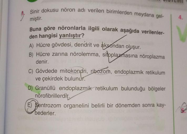 Sinir dokusu nöron adı verilen birimlerden meydana gel-
miştir.
4.
Buna göre nöronlarla ilgili olarak aşağıda verilenler-
den hangisi yanlıştır?
A) Hücre gövdesi, dendrit ve aksondan oluşur.
B) Hücre zarına nörolemma, sitoplazmasına nöroplazma
denir.
C) Gö