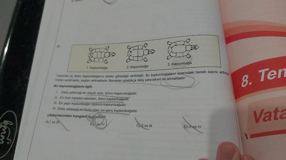 21
WIE
3. Kaplumbağa
8. Ten
1. Kaplumbağa
2. Kaplumbağa
Yukarıda üç farklı kaplumbağanın üstten görünüşü verilmiştir. Bu kaplumbağaların üzerindeki benek sayısı artıkça
hızlanı azalmakta, yaşları artmaktadır
. Benekler azaldıkça dalış yetenekleri de artmak