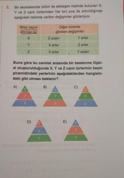 3. Bir ekosistemde birbiri ile etkileşim halinde bulunan X,
Y ve Z canlı türlerinden her biri sira ile artırıldığında
aşağıdaki tabloda verilen değişimler gözleniyor.
Birey sayısı
artırılan tür
Diğer türlerde
görülen değişimler
Z azalır
Y artar
X
Y
X artar
Z artar
z
X artar
Y azalır
Buna göre bu canlılar arasında bir beslenme ilişki-
si oluşturulduğunda X, Y ve Z canlı türlerinin besin
piramidindeki yerlerinin aşağıdakilerden hangisin-
deki gibi olması beklenir?
A)
B)
C)
Y
Z
Y
Y
X
Z
D)
E)
x
Z
Y
