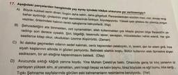 17. Aşağıdaki parçalardan hangisinde yay ayraç içindeki hikâye unsuruna yer verilmemiştir?
A) Büyük kubbeli serin divan; bugün daha sakin, daha gölgeliydi. Pencerelerinden süzülen mavi, mor, sincap rengi
bahar aydınlığı; çinilerinin yeşil derinliklerinde birikiyor, koyulaşıyordu. Yüksek ipek şiltelere diz çökmüş yorgun
vezirler, önlerindeki halının renkli nakışlarına bakıyorlardı. (Kişi)
B) Şehzadeliğini ata binmekten, cirit oynamaktan, silah kullanmaktan çok kitapla geçiren bilge Bayezid'in ya-
radılışı son derece uysaldı. Şiiri, bilgeliği, tasavvufu sever; savaştan, mücadeleden nefret ederdi. Her gün
saatlerce kitap okur, okudukları üzerine düşünürdü. (Zaman)
C) iki dakika geçmeden odanın sedef kakmalı, ceviz kapısından palabıyıklı, iri, levent, şen bir adam girdi. İnce
siyah kaşlarının altında iri gözleri parlıyordu. Belindeki silahlık boştu. Bütün kullarının etek öpmesine alışan
sadrazam, bir an eteğine kapanılmasını bekledi. (Olay)
D) Avucunda sıktığı kâğıdı yanına koydu. Yine Muhsin Çelebi'ye baktı. Ortasında geniş bir kiliç yarasının izi
parlayan yüksek alnı, al yanakları, yeni tiraşlı beyaz ve kalın boynu, biraz büyücek ve eğri burnu, ince sarığı...
Tipkı Şehname sayfalarında görülen eski kahramanların resimlerine benziyordu. (Yer)