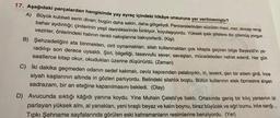 17. Aşağıdaki parçalardan hangisinde yay ayraç içindeki hikâye unsuruna yer verilmemiştir?
A) Büyük kubbeli serin divan; bugün daha sakin, daha gölgeliydi. Pencerelerinden süzülen mavi, mor, sincap rengi
bahar aydınlığı; çinilerinin yeşil derinliklerinde birikiyor, koyulaşıyordu. Yüksek ipek şiltelere diz çökmüş yorgun
vezirler, önlerindeki halının renkli nakışlarına bakıyorlardı. (Kişi)
B) Şehzadeliğini ata binmekten, cirit oynamaktan, silah kullanmaktan çok kitapla geçiren bilge Bayezid'in ya-
radılışı son derece uysaldı. Şiiri, bilgeliği, tasavvufu sever; savaştan, mücadeleden nefret ederdi. Her gün
saatlerce kitap okur, okudukları üzerine düşünürdü. (Zaman)
C) iki dakika geçmeden odanın sedef kakmalı, ceviz kapısından palabıyıklı, iri, levent, şen bir adam girdi. İnce
siyah kaşlarının altında iri gözleri parlıyordu. Belindeki silahlık boştu. Bütün kullarının etek öpmesine alışan
sadrazam, bir an eteğine kapanılmasını bekledi. (Olay)
D) Avucunda sıktığı kâğıdı yanına koydu. Yine Muhsin Çelebi'ye baktı. Ortasında geniş bir kiliç yarasının izi
parlayan yüksek alnı, al yanakları, yeni tiraşlı beyaz ve kalın boynu, biraz büyücek ve eğri burnu, ince sarığı...
Tipkı Şehname sayfalarında görülen eski kahramanların resimlerine benziyordu. (Yer)
