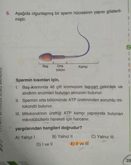 6. Aşağıda olgunlaşmış bir sperm hücresinin yapısı gösteril-
miştir.
B
1
1
6
1
C C
Baş
Orta
bölüm
S
A
R
M
A
Kamçı
ICUNNING
Spermin kısımları için,
1. Baş kısmında 46 çift kromozom taşıyan çekirdek ve
sindirim enzimleri bulunan akrozom bulunur.
II. Spermin orta bölümünde ATP üretiminden sorumlu mi-
tokondri bulunur.
III. Mitokondrinin ürettiği ATP kamçı yapısında bulunan
mikrotübüllerin hareketi için harcanır.
yargılarından hangileri doğrudur?
C) Yalnız III
A) Yalnız! B) Yalnız 11
D) I ve II E) II ve III
28
