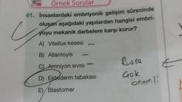 Örnek Sorular
41. insanlardaki embriyonik gelişim sürecinde
oluşan aşağıdaki yapılardan hangisi embri-
yoyu mekanik darbelere karşı korur?
A) Vitellus kesesi
4
B) Allantoyis
Bura
C Amniyon SIVISI
D) Ekidderm tabakası
Gok
önemli
1
E)/Blastomer
