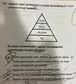 19. Aşağıda algler ile başlayan ve insan ile sonlanan bir besin
piramidi örneği verilmiştir..
dinobs
Abito
insan
vel
he
Balik
bro
Su piresi
Alg
Bu besin piramidindeki canlılar için aşağıdaki
yorumlardan hangisi yanlıştır?
A) Balık sayısındaki artış, sadece su pirelerini etkiler. X
B) Suda çözünmeyen zehirli madde birikimi, en fazla
insan dokularında gerçekleştr.
C) Alglerden insanlara doğru biyokütle azalır.
DY Enerji, bir üst basamağa sadece besin yoluyla geçer.
E) İnsanın olduğu basamakta, enerji kullanımı en azdır.