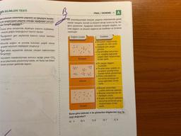 FEN BİLİMLERİ TESTİ
FINAL / DENEME-1 A
Bir popülasyondaki bireyler yaşama ortamlarında genel
olarak rastgele, kümeli ve düzenli olmak üzere üç tip da-
ğilim gösterirler. Aşağıdaki tabloda rastgele dağılım, ku-
meli dağılım ve düzenli dağılıma ait özellikler ve örnekler
verilmiştir.
Dağilim modeli
Özellikler
esan solunum sisteminin yapısını ve işleyişini incele-
n bir araştırıcının yapmış olduğu aşağıdaki yorum-
-dan hangisi yanlıştır?
Soluk alma esnasında diyafram kasının kubbeles-
mesiyle göğüs boşluğunun hacmi daralır.
Akciğerlerin geri yaylanma basıncı soluk vermeyi
kolaylaştırır.
Omurilik soğanı ve ponsta bulunan çeşitli nöron
gruplar solunum merkezini oluşturur.
Bohr etkisi sayesinde dokular oksijen bakımından
zenginleşir.
Hücrelerin metabolizması sonucu açığa çıkan CO2
en az plazmada çözünmüş halde, en fazla ise bikar-
bonat iyonları şeklinde taşınır.
Rastgele
* Bireylerin dağılımında
karşılıklı bir etki vardır.
* Dogada çok yaygın
görülür.
*Karahindiba tohumlan-
nin rüzgârla taşınarak
yaşam alanı oluşturması
örnek verilir.
* En yaygin dağılım
modelidir.
*Gruplar arası uzaklik ve
gruplann içerdiği birey
sayılan farlilik göstermez.
* Afrika mandalarının
savunma amacıyla bir
araya gelmeleri örnek
verilir.
Bireyler arasındaki
uzaklik birbirine yakındır.
* Bireyler arasında sıkı bir
etkileşim vardir.
* Kuşlar ve küçük balıkların
savunma amacıyla grup
oluşturmaları örnek
verilir.
Kümeli
Düzenli
Buna göre tabloda * ile gösterilen bilgilerden kaç
ta-
nesi doğrudur?
A) 4 B) 5 C) 6 D) 7 E) 8
1