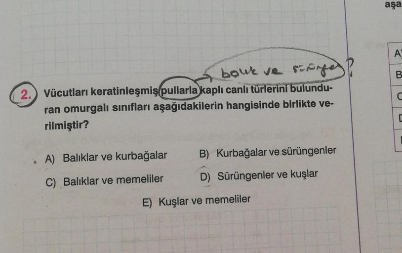 aşa
A
B
C
bour ve sanger
2.) Vücutları keratinleşmiş pullarla kaplı canlı türlerini bulundu-
ran omurgalı sınıfları aşağıdakilerin hangisinde birlikte ve-
rilmiştir?
A) Balıklar ve kurbağalar
B) Kurbağalar ve sürüngenler
C) Balıklar ve memeliler
D) Sürünge