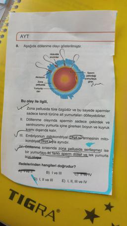 AYT
8.
Aşağıda döllenme olayı gösterilmiştir.
Hidrolitik
enzimler
Akrozom
Sperm
çekirdeği
yumurtaya
girer.
Zona
pellusida
Yumurta
zari
Bu olay ile ilgili,
V. Zona pellusida türe özgüdür ve bu sayede spermler
sadece kendi türüne ait yumurtaları dölleyebilirler.
II. Döllenme olayında spermin sadece çekirdek ve
sentrozomu yumurta içine girerken boyun ve kuyruk
kısmı dışarıda kalır.
III. Embriyonun mitokondriyal ONA'S annesinin mito-
kondriyal DNA'sıyla aynıdır.
IV. Döllenme sırasında zona pellusida sertleşmez ise
bir yumurtayı iki farklı sperm döller ve tek yumurta
ikizi oluşur.
ifadelerinden hangileri doğrudur?
A) ve B) I ve III D) I ve tv
D) I, II ve III E) I, II, III ve IV
TIGRA
