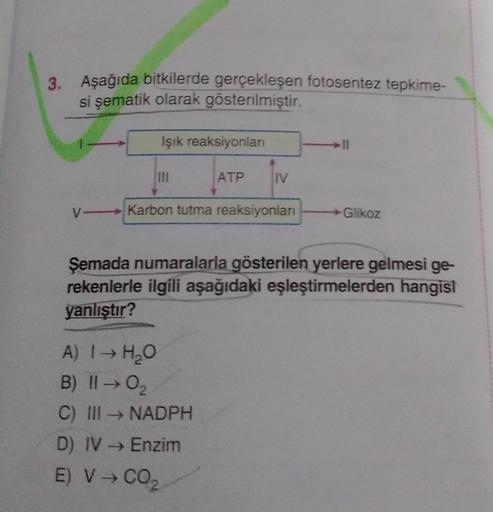 3. Aşağıda bitkilerde gerçekleşen fotosentez tepkime-
si şematik olarak gösterilmiştir.
Işık reaksiyonları
11
ATP
IV
V-Karbon tutma reaksiyonları
Glikoz
Şemada numaralarla gösterilen yerlere gelmesi ge-
rekenlerle ilgili aşağıdaki eşleştirmelerden hangisi