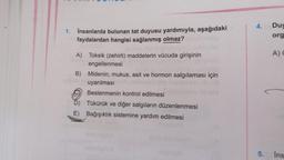 4.
1.
İnsanlarda bulunan tat duyusu yardımıyla, aşağıdaki
faydalardan hangisi sağlanmış olmaz?
Duy
org
A)
A) Toksik (zehirli) maddelerin vücuda girişinin
engellenmesi
B) Midenin; mukus, asit ve hormon salgılaması için
uyarılması
Beslenmenin kontrol edilmesi
Tükürük ve diğer salgıların düzenlenmesi
E) Bağışıklık sistemine yardım edilmesi
5.
Ins