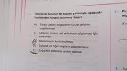 4.
1.
İnsanlarda bulunan tat duyusu yardımıyla, aşağıdaki
faydalardan hangisi sağlanmış olmaz?
Duy
org
A)
A) Toksik (zehirli) maddelerin vücuda girişinin
engellenmesi
B) Midenin; mukus, asit ve hormon salgılaması için
uyarılması
Beslenmenin kontrol edilmesi
Tükürük ve diğer salgıların düzenlenmesi
E) Bağışıklık sistemine yardım edilmesi
5.
Ins
