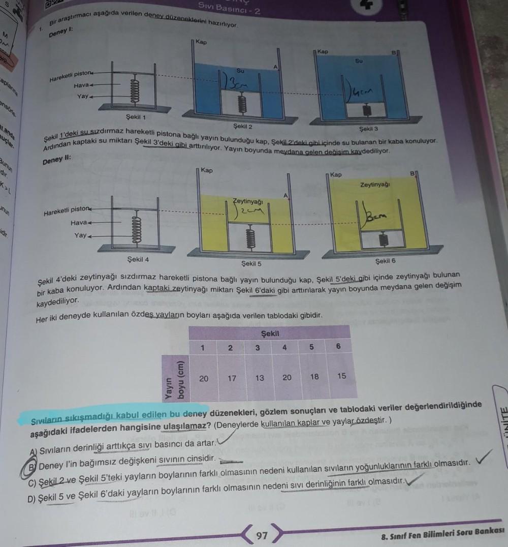 Swi Bas nc 2 Bir Ara t rmac A a da Ortaokul Fen Bilgisi