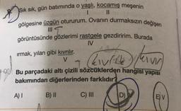 T
Sık sık, gün batımında o yaşlı, kocamış meşenin
I II
gölgesine üzgün otururum. Ovanın durmaksızın değişen
görüntüsünde gözlerimi rastgele gezdiririm. Burada
IV
ırmak, yılan gibi kıvrılır.
V
hville n
Hou Bu parçadaki altı çizili sözcüklerden hangisi yapısı
bakımından diğerlerinden farklıdır?
Alle kan
lam
A) 1
B) II
C) IN
D)
E) V
