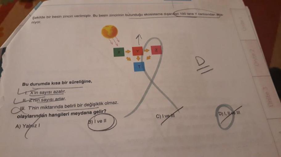Şekilde bir besin zinciri verilmiştir. Bu besin zincirinin bulunduğu ekosisteme dışarıdan 100 tane Y Cardindar
niyor
T
all
Bu durumda kısa bir süreliğine,
X'in sayısı azalır.
1. Znin sayısı artar.
CU T'nin miktarında belirli bir değişiklik olmaz.
olayların