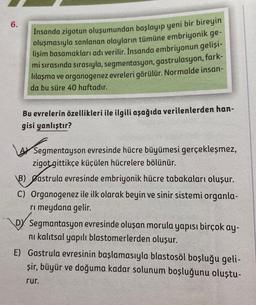 6.
Insanda zigotun oluşumundan başlayıp yeni bir bireyin
oluşmasıyla sonlanan olayların tümüne embriyonik ge-
lişim basamakları adı verilir. İnsanda embriyonun gelişi-
mi sırasında sırasıyla, segmentasyon, gastrulasyon, fark-
lılaşma ve organogenez evreleri görülür. Normalde insan-
da bu süre 40 haftadır.
Bu evrelerin özellikleri ile ilgili aşağıda verilenlerden han-
gisi yanlıştır?
Segmentayson evresinde hücre büyümesi gerçekleşmez,
zigot gittikçe küçülen hücrelere bölünür.
B) Sastrula evresinde embriyonik hücre tabakaları oluşur.
C) Organogenez ile ilk olarak beyin ve sinir sistemi organla-
rı meydana gelir.
D Segmantasyon evresinde oluşan morula yapısı birçok ay-
ni kalıtsal yapılı blastomerlerden oluşur.
E) Gastrula evresinin başlamasıyla blastosöl boşluğu geli-
şir, büyür ve doğuma kadar solunum boşluğunu oluştu-
rur.