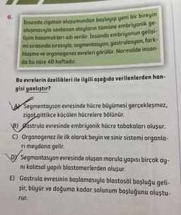 6.
Insanda zigotun oluşumundan başlayıp yeni bir bireyin
oluşmasıyla sonlanan olayların tümüne embriyonik ge-
lişim basamakları adı verilir. İnsanda embriyonun gelişi-
mi sırasında sırasıyla, segmentasyon, gastrulasyon, fark-
lılaşma ve organogenez evreleri görülür. Normalde insan-
da bu süre 40 haftadır.
Bu evrelerin özellikleri ile ilgili aşağıda verilenlerden han-
gisi yanlıştır?
Segmentayson evresinde hücre büyümesi gerçekleşmez,
zigot gittikçe küçülen hücrelere bölünür.
B) Sastrula evresinde embriyonik hücre tabakaları oluşur.
C) Organogenez ile ilk olarak beyin ve sinir sistemi organla-
rı meydana gelir.
D Segmantasyon evresinde oluşan morula yapısı birçok ay-
ni kalıtsal yapılı blastomerlerden oluşur.
E) Gastrula evresinin başlamasıyla blastosöl boşluğu geli-
şir, büyür ve doğuma kadar solunum boşluğunu oluştu-
rur.
