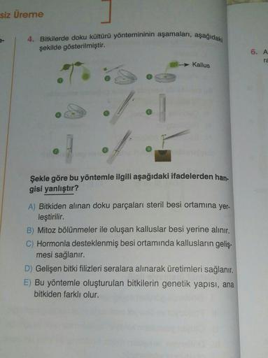 siz Üreme
4. Bitkilerde doku kültürü yöntemininin aşamaları, aşağıdaki
şekilde gösterilmiştir.
6. A
ra
Kallus
Şekle göre bu yöntemle ilgili aşağıdaki ifadelerden han-
gisi yanlıştır?
A) Bitkiden alınan doku parçaları steril besi ortamına yer-
leştirilir.
B