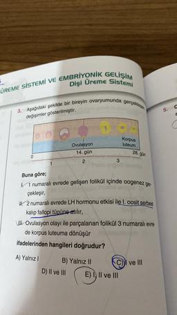 ÜREME SİSTEMİ VE EMBRİYONİK GELİŞİM
Dişi Üreme Sistemi
3. Aşağıdaki şekilde bir bireyin ovaryumunda gerçekleson
5. d
değişimler gösterilmiştir.
Korpus
luteum
Ovulasyon
14. gün
28. gün
0
2
3
Buna göre;
11 numaralı evrede gelişen folikül içinde oogenez ger-
çekleşir,
4.2 numaralı evrede LH hormonu etkisi ile I. oosit serbest
kalıp fallopi tüpüne atılır,
WIII. Ovulasyon olayı ile parçalanan folikül 3 numaralı evre-
de korpus luteuma dönüşür
ifadelerinden hangileri doğrudur?
A) Yalnız!
B) Yalnız 10
C) I ve III
D) II ve III
E) I, II ve III
