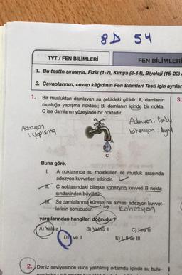 80 54
TYT / FEN BİLİMLERİ
FEN BİLİMLERİ
1. Bu testte sırasıyla, Fizik (1-7), Kimya (8-14), Biyoloji (15-20)
2. Cevaplarınızı, cevap kâğıdının Fen Bilimleri Testi için ayrılar
3.
1. Bir musluktan damlayan su şekildeki gibidir. A, damlanın
musluğa yapışma noktası; B, damlanın içinde bir nokta;
C ise damlanin yüzeyinde bir noktadır.
Aderyon: food
Adbryon
toheryon Ayna
iyopisma
C
Buna göre,
I. A noktasında su molekülleri ile musluk arasında
adezyon kuvvetleri etkindir.
I C noktasındaki bileşke kohezyon kuvveti B nokta-
sindakinden büyüktür.
H. Su damlalarının küresel hal alması adezyon kuvvet-
lerinin sonucudur.
Kohezyon
yargılarından hangileri doğrudur?
A) Yalnız
B) Yalnız 11
C) Ivet
E) LI ve III
Dve II
2. Deniz seviyesinde isica yalıtılmış ortamda içinde su bulu-
on robot