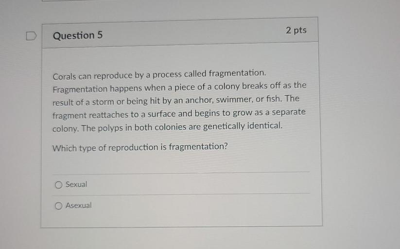2 pts
Question 5
Corals can reproduce by a process called fragmentation.
Fragmentation happens when a piece of a colony breaks off as the
result of a storm or being hit by an anchor, swimmer, or fish. The
fragment reattaches to a surface and begins to grow as a separate
colony. The polyps in both colonies are genetically identical.
Which type of reproduction is fragmentation?
Sexual
O Asexual