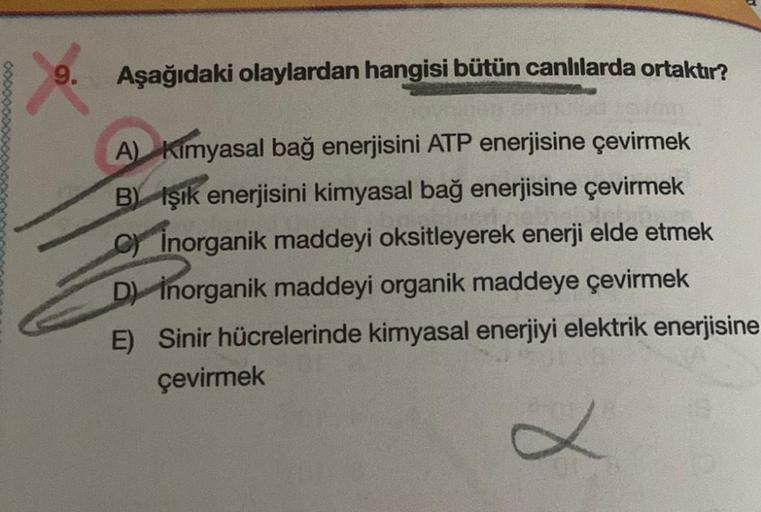 9.
Aşağıdaki olaylardan hangisi bütün canlılarda ortaktır?
A) kimyasal bağ enerjisini ATP enerjisine çevirmek
BY Işık enerjisini kimyasal bağ enerjisine çevirmek
c) Inorganik maddeyi oksitleyerek enerji elde etmek
D) Inorganik maddeyi organik maddeye çevir