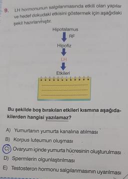 9.
LH hormonunun salgılanmasında etkili olan yapılar
ve hedef dokudaki etkisini göstermek için aşağıdaki
şekil hazırlanmıştır
.
Hipotalamus
RF
Hipofiz
LH
Etkileri
Bu şekilde boş bırakılan etkileri kısmına aşağıda-
kilerden hangisi yazılamaz?
A) Yumurtanın yumurta kanalına atılması
B) Korpus luteumun oluşması
C) Ovaryum içinde yumurta hücresinin oluşturulması
D) Spermlerin olgunlaştırılması
E) Testosteron hormonu salgılanmasının uyarılması