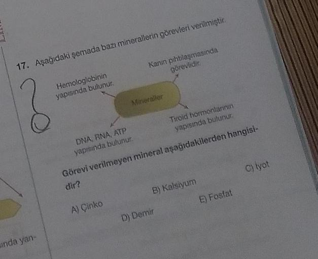 17. Aşağıdaki şemada bazı minerallerin görevleri verilmiştir.
Kanin pıhtılaşmasında
görevlidir.
Hemologlobinin
yapısında bulunur.
Mineraller
12
Tiroid hormonlarinin
yapısında bulunur
DNA, RNA ATP
yapısında bulunur
C) lyot
Görevi verilmeyen mineral aşağıdak