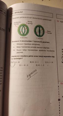 ME - 2
AYT/BİYOLOJİ
Aşağıdaki şekillerde iki ayri stoma durumu gösterilmiştir.
Stoma
açıklığ
12. Agar
Epidermis
hücresi
kayo
.
Bekçi
hücresi
X durumu
Y durumu
Stomanın X durumundan Y durumuna geçerken;
1. Glikozun nişastaya dönüşmesi,
II. Bekçi hücresinde ozmotik basıncın düşmesi,
III. Suyun bekçi hücrelerinden epidermis hücrelerine
B
le
geçmesi
A
olaylarının meydana gelme sırası hangi seçenekte doğ-
ru verilmiştir?
C) 1 - 1 - III
A) III - III
D) I - III - 11
B) III - 11 - 1
E) III--11
dişi
man
Un-
nun
sine
ere
an
hoponny
13.
1
L
1