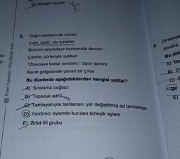 E Birleşik sözcük
sifel
8.
bir
y-
Dinlendi
Sindire
Bu diz
A Be
B) D
»
(3) Puan Yayınları | Güç Sende Artık
5. Dağın eteklerinde orman
Çam, sedir, ulu çınarlar
Birbirini seyrediyor aynasında denizin
Çamlar pürleriyle suskun
"Ölünceye kadar seninim." diyor denize
Kendi gölgesinde yanan bir çinar
Bu dizelerde aşağıdakilerden hangisi yoktur?
AT Sıralama bağlacı
BY Topluluk adılmas
o Tamlayanıyla tamlananı yer değiştirmiş ad tamlaması
D) Yardımcı eylemle kurulan birleşik eylem
E) Sifat-fiil grubu
C) Z
E)