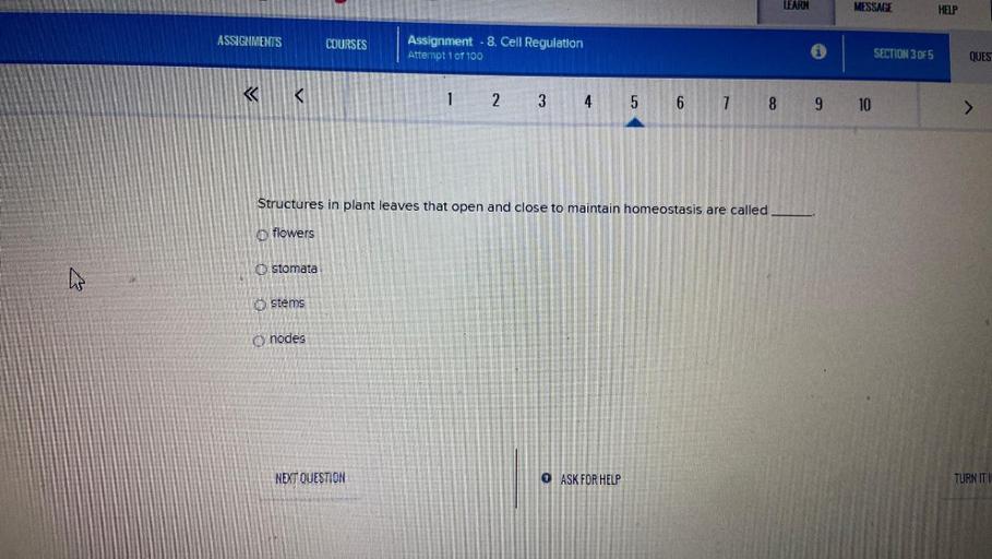 LEARN
MESSAGE
HELP
ASSIGNMENTS
COURSES
Assignment - 8. Cell Regulation
Attempt 1 of 100
SECTION 3 OF5
QUES
1 2
3 4 5 6 7 8 9 10
>
Structures in plant leaves that open and close to maintain homeostasis are called
flowers
O stomata
O stems
O nodes
NEXT QUESTION
ASK FOR HELP
TURN ITT
