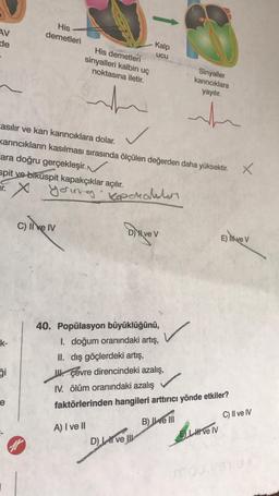 AV
de
His
demetleri
Kalp
ucu
His demetleri
sinyalleri kalbin uç
noktasına iletir.
Sinyaller
karıncıklara
yayılır.
~
nh
.
casılır ve kan karıncıklara dolar.
Karıncıkların kasılması sırasında ölçülen değerden daha yüksektir.
ara doğru gerçekleşir
. N
spit ve biküspit kapakçıklar açılır.
x
X
yering koperalatan
c) liver
Diver
D) X ve v
E) likve V
E
/
k-
40. Popülasyon büyüklüğünü,
I. doğum oranındaki artış,
II. dış göçlerdeki artış,
II. çevre direncindeki azalış, ,
1. ölüm oranındaki azalış
faktörlerinden hangileri arttırıcı yönde etkiler?
i
le
C) II ve IV
B) IWe III
A) I ve II
El ve IV
D
OLLATION