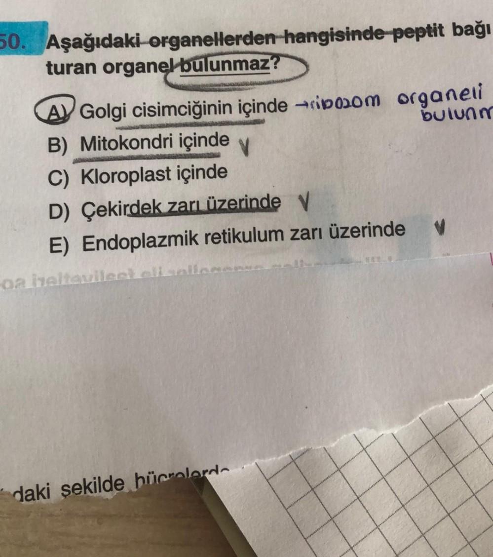 50. Aşağıdaki organelerden hangisinde peptit bağı
turan organel bulunmaz?
Ay Golgi cisimciğinin içinde -ripoom organeti
bulunm
B) Mitokondri içinde
V
C) Kloroplast içinde
D) Çekirdek zarı üzerinde V
E) Endoplazmik retikulum zarı üzerinde V
-aaiveltoviles
d
