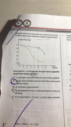 OLÇME
Canlıların Temel Bileşenleri
Aşağıdaki grafik insan vücudunda uzun süreli açlık durumunda
vücuttaki organik besin miktarlarının değişimini göstermektedir.
3.
Aşağı
hidroliz
tilmişt
A Bağıl Miktar (kg)
12 +
M
10
8 +
6+
L
4+
2k
Yul
→ Açlık
1
2
+
4
3
5