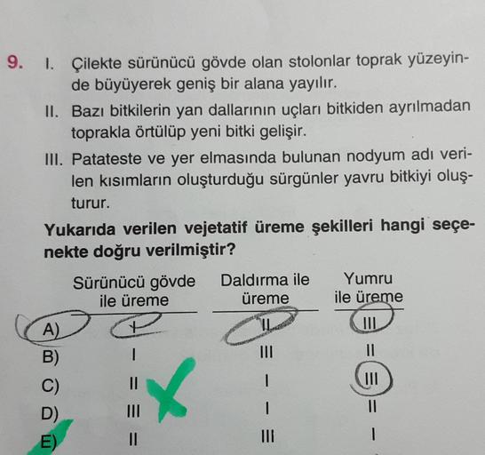 1
9. I. Çilekte sürünücü gövde olan stolonlar toprak yüzeyin-
de büyüyerek geniş bir alana yayılır.
II. Bazı bitkilerin yan dallarının uçları bitkiden ayrılmadan
toprakla örtülüp yeni bitki gelişir.
III. Patateste ve yer elmasında bulunan nodyum adı veri-