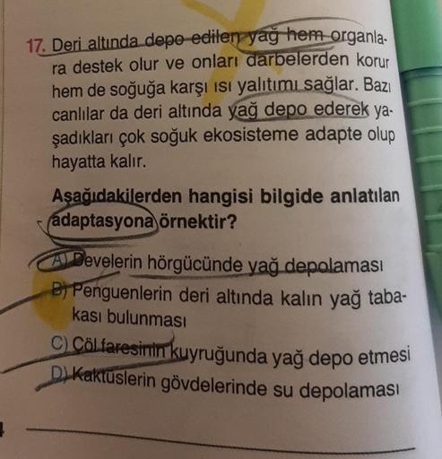 17. Deri altında depo edilen yağ hem organla.
ra destek olur ve onları darbelerden korur
hem de soğuğa karşı isi yalıtımı sağlar. Bazı
canlılar da deri altında yağ depo ederek ya-
şadıkları çok soğuk ekosisteme adapte olup
hayatta kalır.
Aşağıdakilerden ha