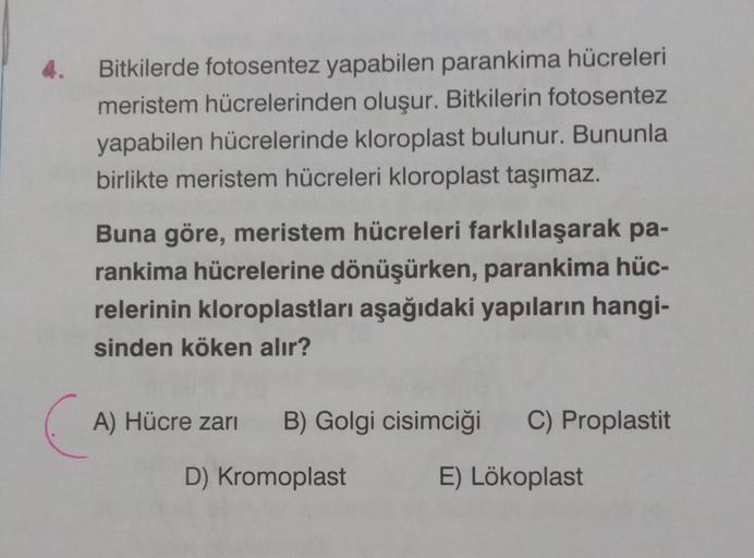 4. Bitkilerde fotosentez yapabilen parankima hücrel… Biyoloji 4. Bitkilerde fotosentez yapabilen parankima hücrel… Biyoloji