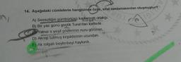 14. Aşağıdaki cümlelerin hangisinde özne, sifat tamlamasından oluşmuştu
1919
A) Sessizliğin gümbürtüsü kaplamıştı ortalığı.
B) Bir yaz günü geçtik Tuna'dan kafilerle.
CC Yalnız o yeşil gözlerinin nuru görünse.
D) Akrep tutmuş kirpiklerinin ucundan.
E) Ak tolgalı beylerbeyi haykırdı.