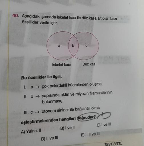 40. Aşağıdaki şemada iskelet kası ile düz kasa ait olan bazı
özellikler verilmiştir.
a
b
Iskelet kasi
Düz kas
Bu özellikler ile ilgili,
1.
a → çok çekirdekli hücrelerden oluşma,
II. b → yapısında aktin ve miyozin filamentlerinin
bulunması,
III. c + otonom