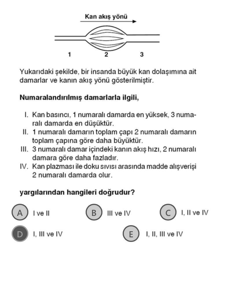 Kan Akis Yonu 2 3 Yukaridaki Sekilde Bir Insanda B Biyoloji