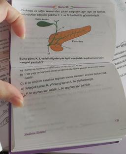 6
Soru 33
Pankreas ve safra kesesinden çıkan salgıların ayrı ayrı ve birlikte
ulundukları bölgeler şekilde K, L ve M harfleri ile gösterilmiştir.
Safra kesesi
K
Ok altit
ar dam
Pankreas
abloda
ve prote
a göste
ngisi yanlis
Sinai
M
bonhidras
Buna göre; K, L ve M bölgeleriyle ilgili aşağıdaki açıklamalardan
hangisi yanlıştır?
ozit bağlan
flerinin
emildiği
Sindirim ürür
asidik öze
otein
nce ba
unla ile
"dir?
A) Safra ve lipazın birlikte bulunduğu ilk yer Mair.
B) L'de yağ ve karbonhidrat sindiriminde işlev yapan enzimler bulu-
nabilir.
C) Kile sindirim kanalına taşınan sivida sindirim enzimi bulunmaz.
D) Koledok kanalı K, Wirsung kanalı L ile gösterilmiştir.
E). K ile taşınan sivi asidik, L ile taşınan sivi baziktir.
DY
171
Sindirim Sistemi