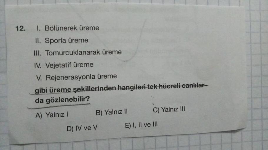 12.
1. Bölünerek üreme
II. Sporla üreme
III. Tomurcuklanarak üreme
IV. Vejetatif üreme
V. Rejenerasyonla üreme
gibi üreme şekillerinden hangileri tek hüereli canlılar
da gözlenebilir?
C) Yalnız III
B) Yalnız II
A) Yalnız!
D) IV ve V
E) I, II ve III
