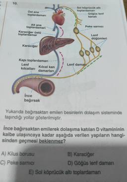 10.
Üst ana
Sol köprücük altı
toplardamari
Göğüs lent
kanali
toplardamarı
Peke sarnici
Alt ana
toplardamari
Karaciğer üstü
toplardamar
Lenf
düğümleri
Karaciğer
Kapı toplardamarı
Lenf
Kilcal kan
kılcalları
damarları
Lenf damar
İnce
bağırsak
Yukarıda bağırsaktan emilen besinlerin dolaşım sisteminde
taşındığı yollar gösterilmiştir.
ince bağırsaktan emilerek dolaşıma katılan D vitamininin
kalbe ulaşıncaya kadar aşağıda verilen yapıların hangi-
sinden geçmesi beklenmez?
A) Kilus borusu
B) Karaciğer
C) Peke sarnici
D) Göğüs lenf daman
E) Sol köprücük altı toplardaman
