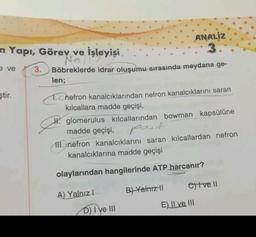 ANALİZ
n Yapı, Görev ve İşleyişi.
3.
Noit
3. Böbreklerde idrar oluşumu sırasında meydana ge-
len;
ve
ştir.
T.Cnefron kanalcıklarından nefron kanalcıklarını saran
kılcallara madde geçişi,
#. glomerulus kılcallarından bowman kapsülüne
madde geçişi,
III. nefron kanalcıklarını saran kılcallardan nefron
kanalcıklarına madde geçişi
pasif
olaylarından hangilerinde ATP harcanır?
B) Yalnız!
eltve II
A) Yalnız !
E) Il ve III
D) I ve III