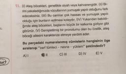 11. (1) Ateş böcekleri, genellikle siyah veya kahverengidir. (II) Bi-
rini yakaladığınızda vücutlarının yumuşak yapılı olduğunu fark
edeceksiniz. (III) Bu canlılar çok hassas ve yumuşak yapılı
olduğu için bunların ezilmesi kolaydır. (IV) Yukarıdan bakıldı-
ğında ateş böcekleri, başlarını büyük bir kalkanla gizliyor gibi
görünür. (V) Genişletilmiş bir pronotumu olan bu özellik, ateş
böceği ailesini karakterize etmeye yardım eder.
Bu parçadaki numaralanmış cümlelerin hangisinin öge
sıralanışı "zarf tümleci - nesne - yüklem" şeklindedir?
D) IV
C) III
EV
A) I
tur?