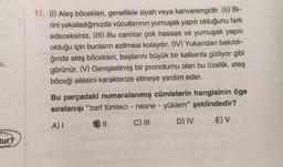 11. (1) Ateş böcekleri, genellikle siyah veya kahverengidir. (II) Bi-
rini yakaladığınızda vücutlarının yumuşak yapılı olduğunu fark
edeceksiniz. (III) Bu canlılar çok hassas ve yumuşak yapılı
olduğu için bunların ezilmesi kolaydır. (IV) Yukarıdan bakıldı-
ğında ateş böcekleri, başlarını büyük bir kalkanla gizliyor gibi
görünür. (V) Genişletilmiş bir pronotumu olan bu özellik, ateş
böceği ailesini karakterize etmeye yardım eder.
Bu parçadaki numaralanmış cümlelerin hangisinin öge
sıralanışı "zarf tümleci - nesne - yüklem" şeklindedir?
D) IV
C) III
EV
A) I
tur?
