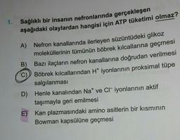 1. Sağlıklı bir insanın nefronlarında gerçekleşen
aşağıdaki olaylardan hangisi için ATP tüketimi olmaz?
A) Nefron kanallarında ilerleyen süzüntüdeki glikoz
moleküllerinin tümünün böbrek kılcallarına geçmesi
B)
Bazı ilaçların nefron kanallarına doğrudan verilmesi
C)
Böbrek kılcallarından Ht iyonlarının proksimal tüpe
salgılanmasi
D) Henle kanalından Nat ve Cliyonlarının aktif
taşımayla geri emilmesi
E) Kan plazmasındaki amino asitlerin bir kısmının
Bowman kapsülüne geçmesi
